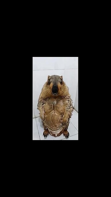 And well-fed and well-mannered!!!