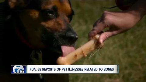 FDA warns pet owners of dog bones