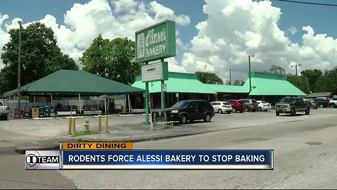 Dirty Dining: Alessi Bakery's rodent infestation