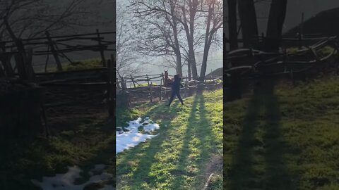 My Girlfriend having fun with baby Horse