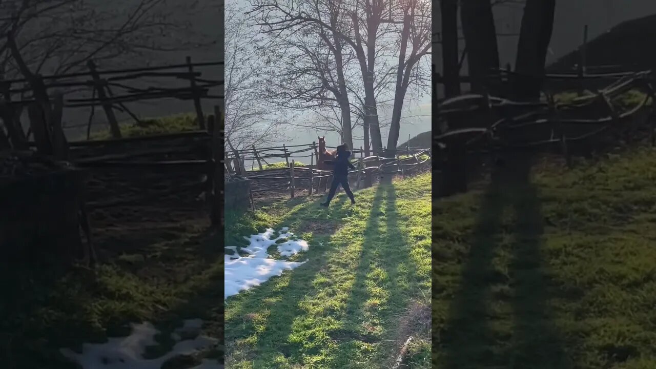 My Girlfriend having fun with baby Horse