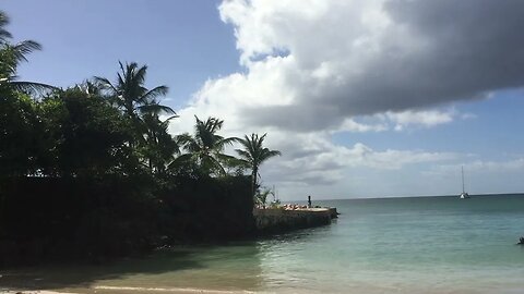 An Arrangement Of Isla Tobago