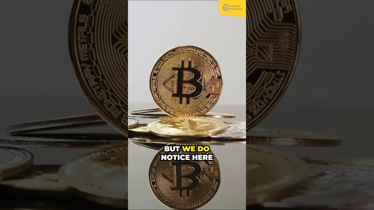 Is the Bear Market Secretly Boosting Altcoins? 📉🚀