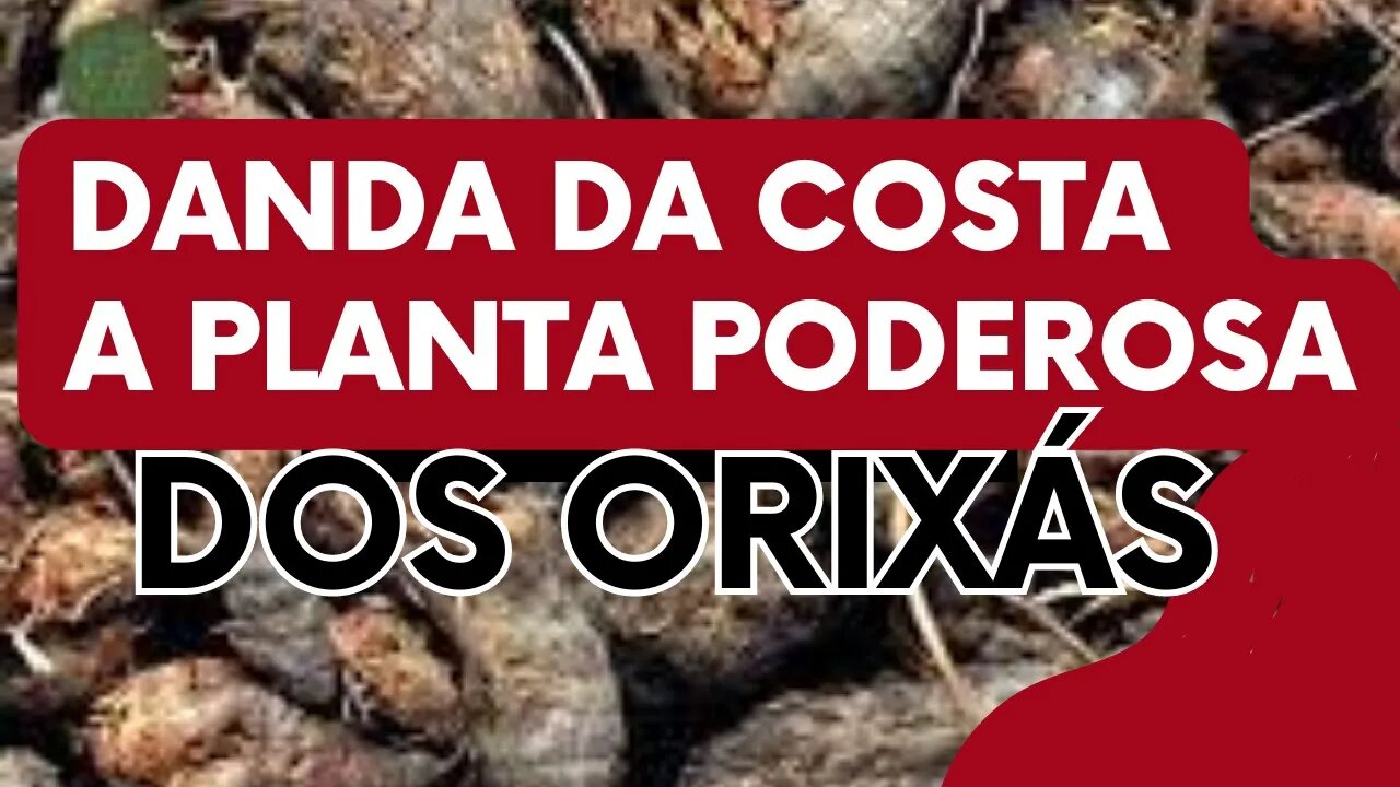 DANDA DA COSTA - O RESGATE DO ORIXÁ @KitandadosOrixas