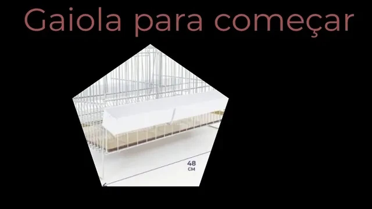 Gaiola Para Codorna Poedeira Contrera Pequena Zincada Prata