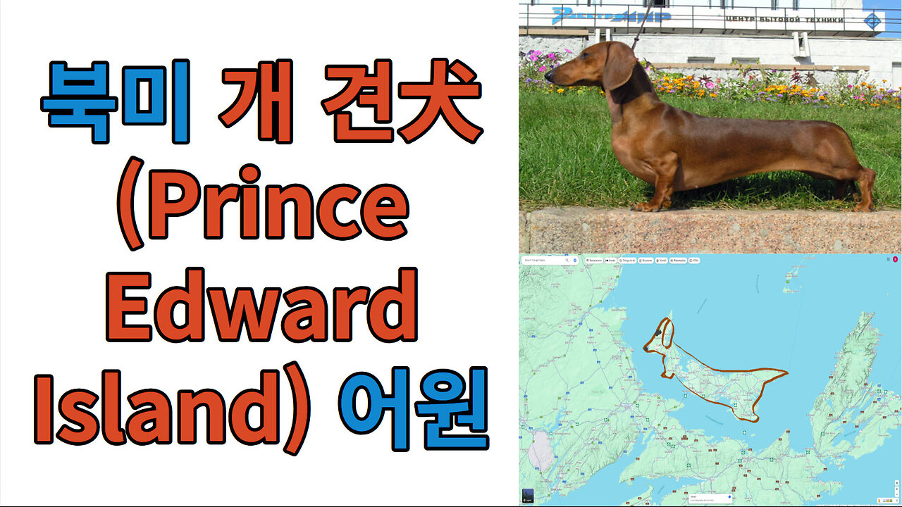 북미 개 견犬(Prince Edward Island) 어원