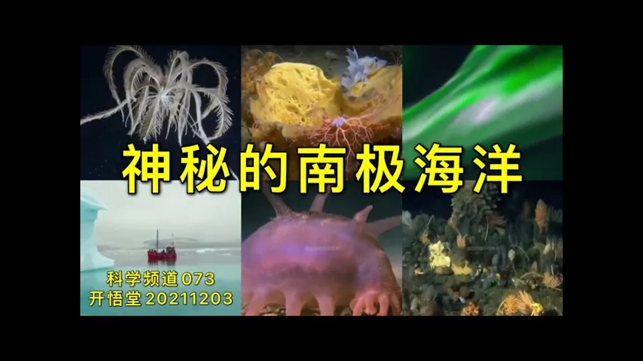 073-神秘的南极海洋-20211203