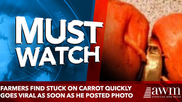 Farmers Find Stuck On Carrot Quickly Goes Viral As Soon As He Posted Photo On Facebook
