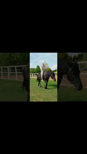 Fantastic | #funyum #shorts #shortsfeed