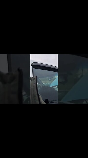 I like eggs 🥚 #shortvideo #shorts #entertainment