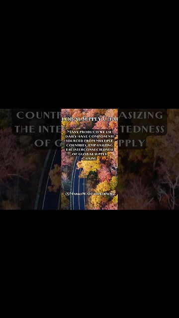 Global Supply Chains: Navigating the Intricate Paths of Global Supply Chains Fact #13 #shorts