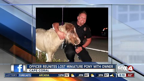Officer reunited lost miniature pony with owner