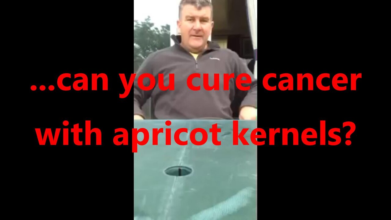 ...can you cure cancer with apricot kernels?