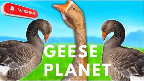 100TH VIDEO! Geese Planet Mini Documentary!