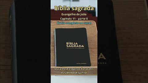 Bíblia Sagrada - Evangelho de João - Capítulo 11 - parte 8