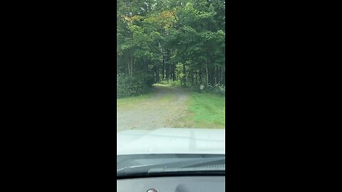 Driveway access