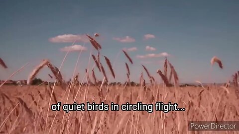 No te detengas en mi tumba a llorar