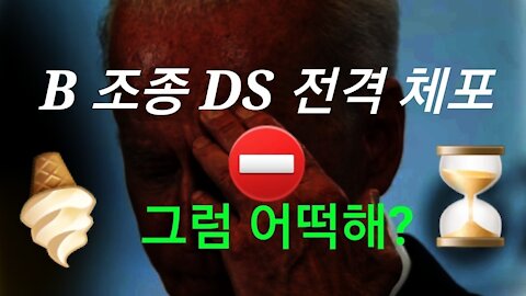 B 조종 DS 요원 전격 체포