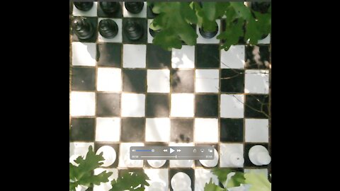 Backyard chess board.