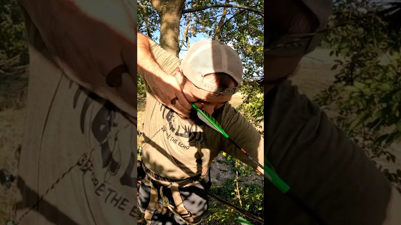 Big Buck with a Longbow #traditionalbow #tradbow