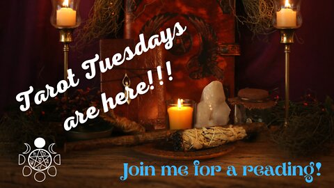 Tarot Tuesdays!