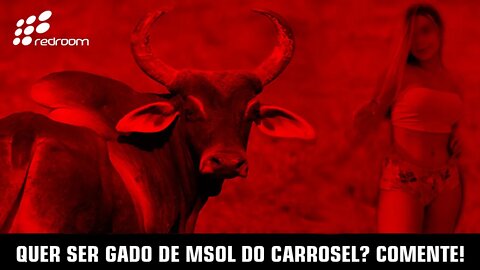 QUER SER GADO DE MSOL DO CARROSEL? COMENTE!