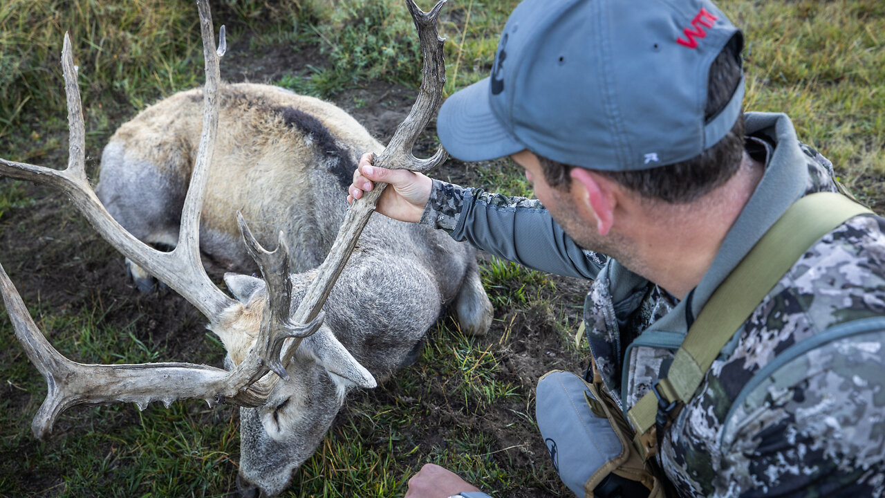 Argentina Pere David's Deer | Mark V. Peterson Hunting