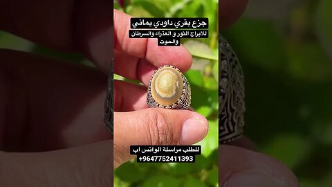جزع بقري داودي يماني