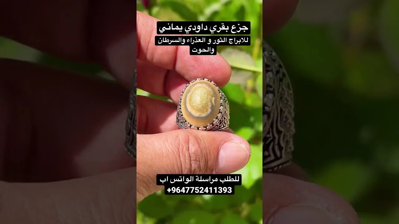 جزع بقري داودي يماني