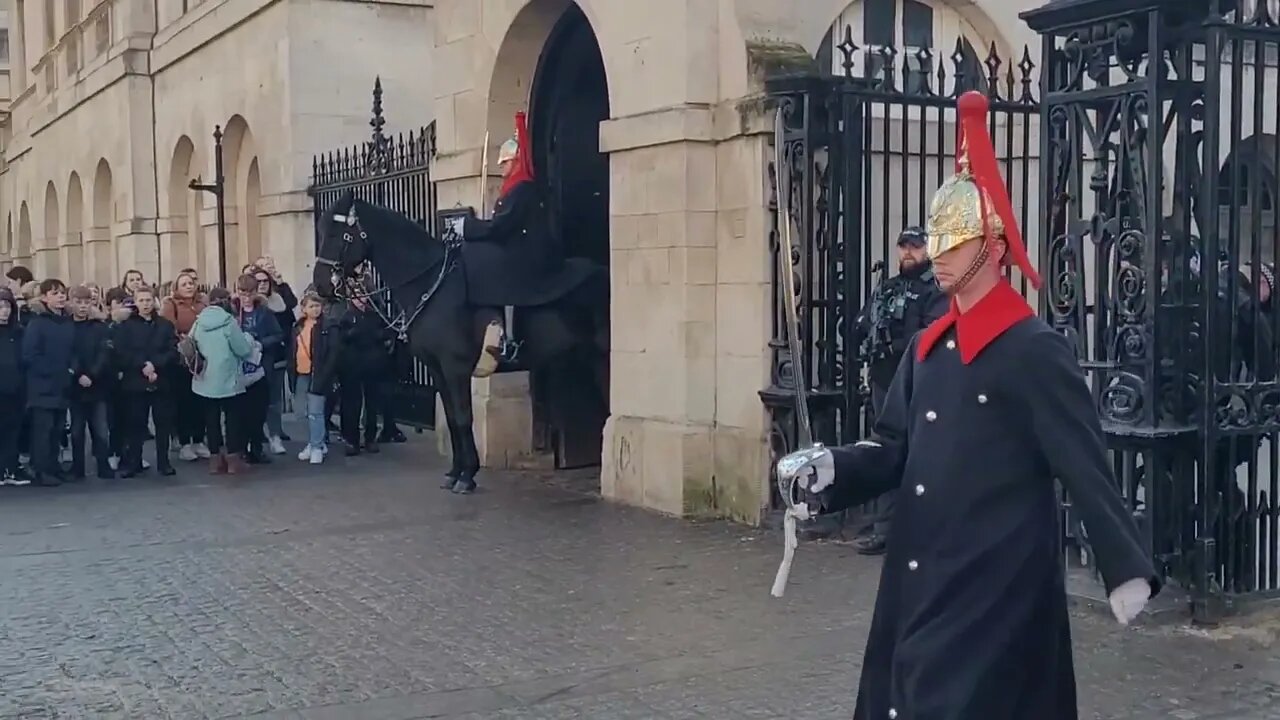 Horse disgraces it's self #horseguardsparade