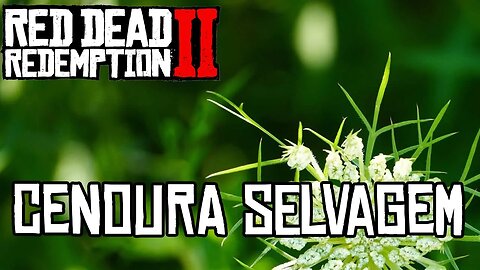 Localização da Cenoura Selvagem Red Dead Online