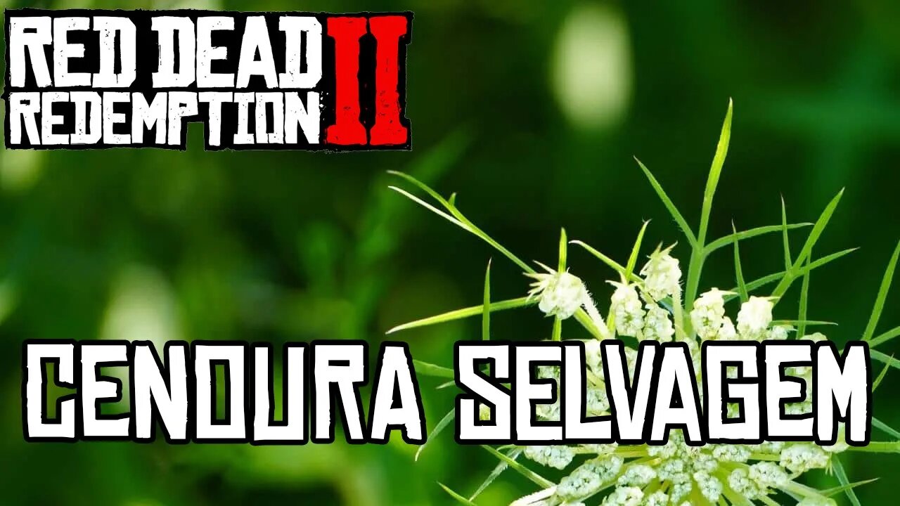 Localização da Cenoura Selvagem Red Dead Online