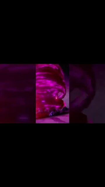 Pokémon Sword - Dynamax Kommo-o Used Max Wyrmwind!