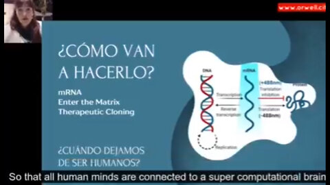 ¿Cómo van a hacerlo?