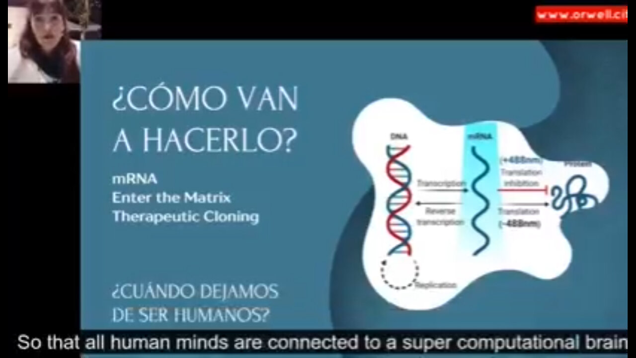 ¿Cómo van a hacerlo?