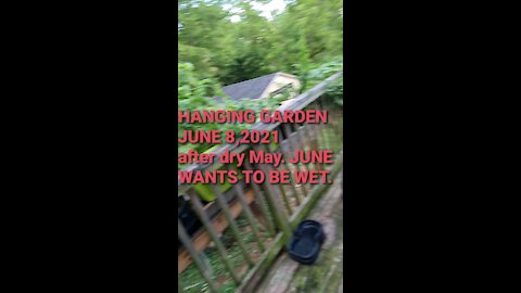 HANGING GARDEN JUNE 8,2021