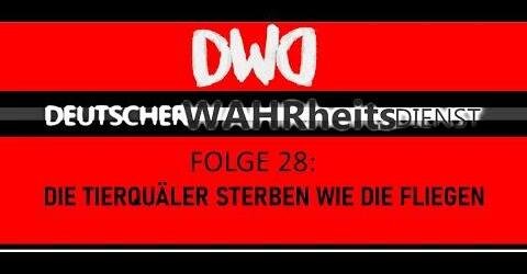 Deutscher-Wahrheits-Dienst - Dauerschleife - Die Idioten sterben wie die Fliegen!