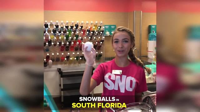 How you can have a snowball fight in South Florida