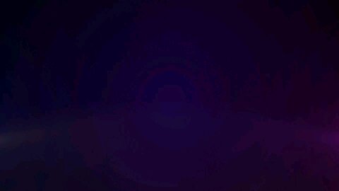 Animal@Shorts video
