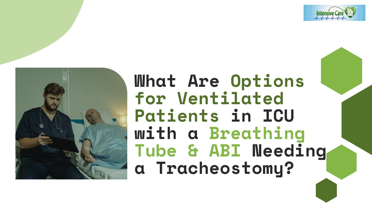 What Are Options for Ventilated Patients in ICU with a Breathing Tube & ABI Needing a Tracheostomy?