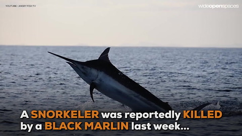 Black Marlin Killer