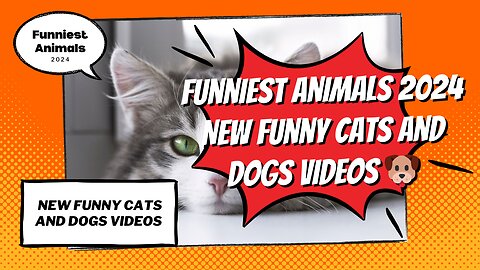 Funniest Animals 2024 😂 New Funny Cats and Dogs Videos 😻🐶