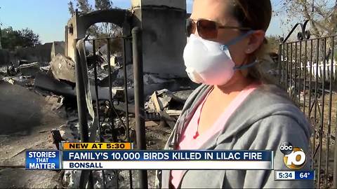 Family's 10,000 birds killed in Lilac Fire