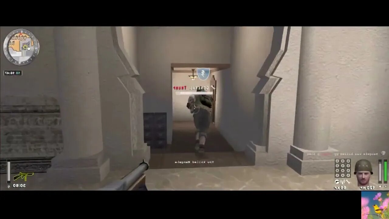 Wolfenstein with Reverse image
