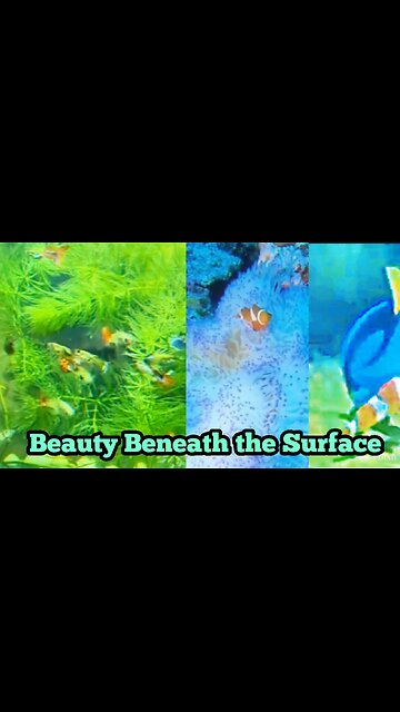 Beauty Beneath the Surface