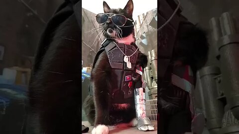 This is the cat cosplayer Fox - he tries on costumes of heroes from video