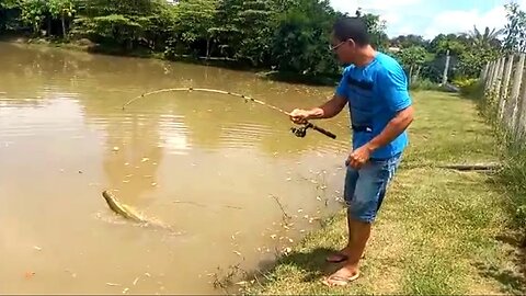 Ricardo Viana mostra como pescar um Pirarucu na porta da sua residência