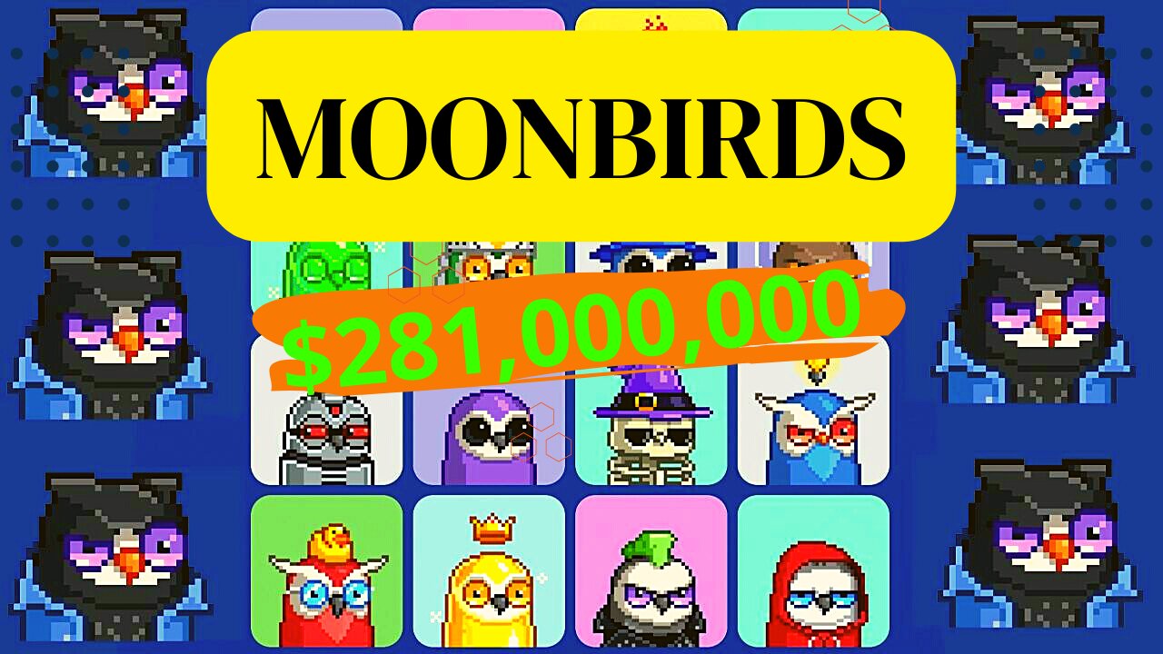 Moonbirds Digital Owls With A Market Worth Of $281 Million Are In Hot Demand!