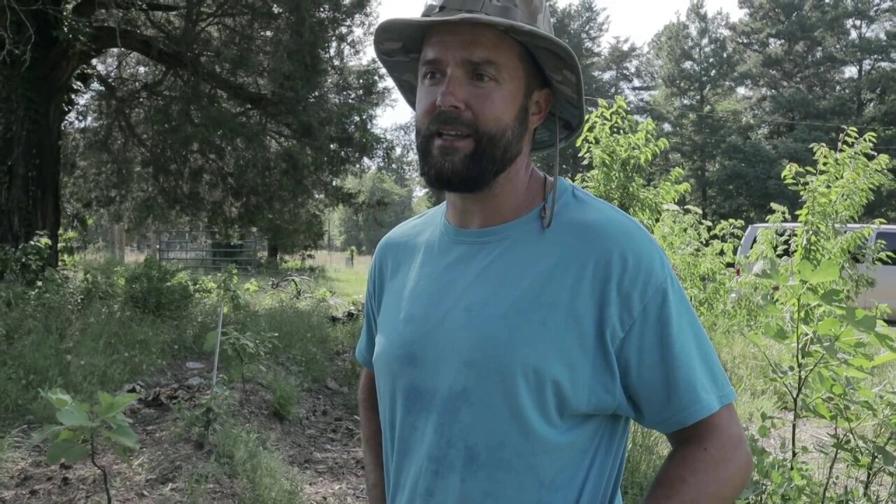 What is Permaculture to You???/ Texas Dad Talk!!!/ Food401-K