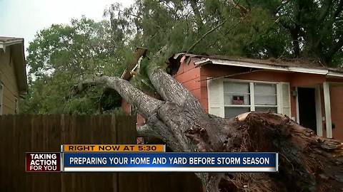Possible tornado sweeps through St. Petersburg, leaves trail of damage